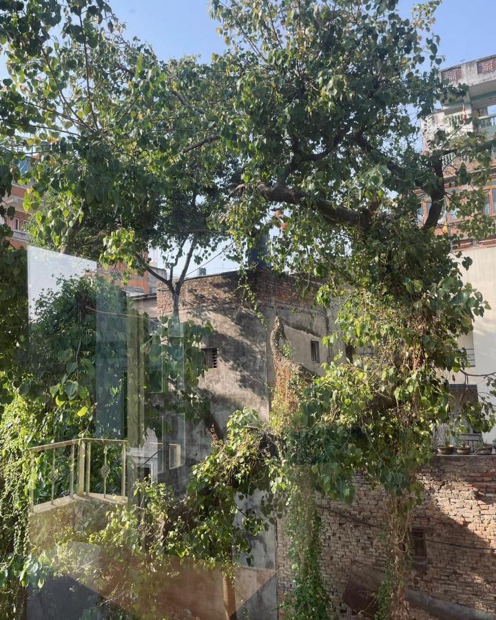 Rooftop Studio And 2Bhk Apartments In Kathmandu'S Most Happening Place Kültér fotó